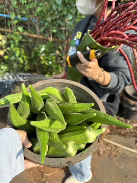 กรณีศึกษา การสนับสนุนอาหารแก่นักศึกษา