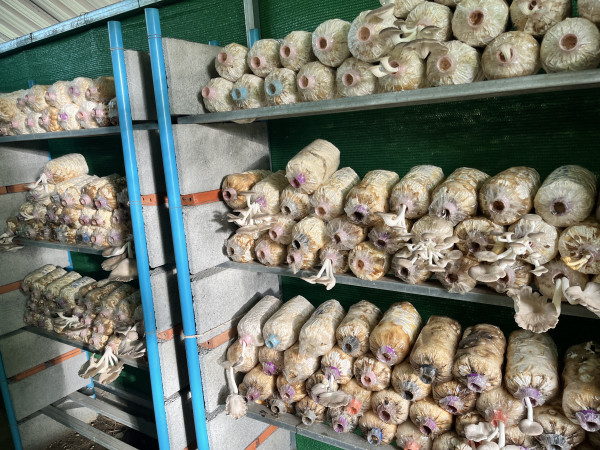 กรณีศึกษา การสนับสนุนให้พนักงานที่ขาดแคลนเข้าถึงอาหารที่เหมาะสม