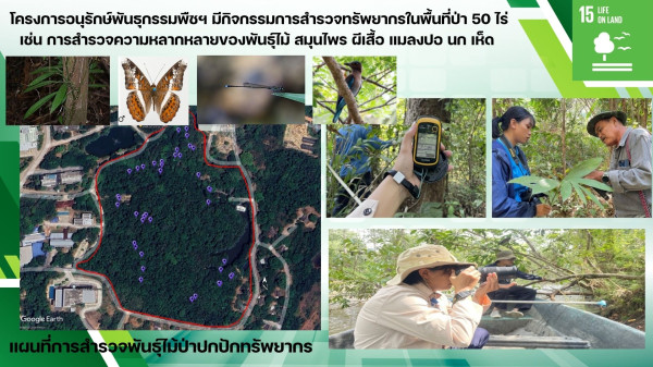 15.2.3 รักษาและขยายความหลากหลายทางชีวภาพในระบบนิเวศ โดยทำงานโดยตรง เพื่อการรักษาและขยาย ความหลากหลายทาง ชีวภาพให้คงอยู่ในระบบ นิเวศ ทั้งพืช สัตว์ โดยเฉพาะระบบนิเวศ ภายใต้สถานการณ์ การคุกคาม