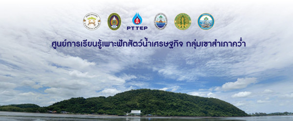 โครงการศึกษานวัตกรรมการเพาะฟักสัตว์น้ำเศรษฐกิจ กลุ่มชุมชนเขาสำเภาคว่ำ จังหวัดจันทบุรี