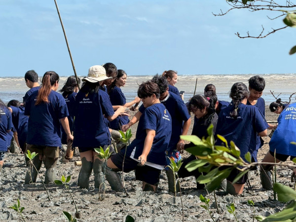 โครงการ “บ้านหนองบัว (เขาสำเภาคว่ำ): พื้นที่สีเขียวเพื่อการอนุรักษ์ทรัพยากรชายฝั่งอย่างยั่งยืน” (17.2.5)
