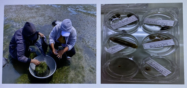 การดูแลรักษาระบบนิเวศน์ทางน้ำและความหลากหลายทางชีวภาพ