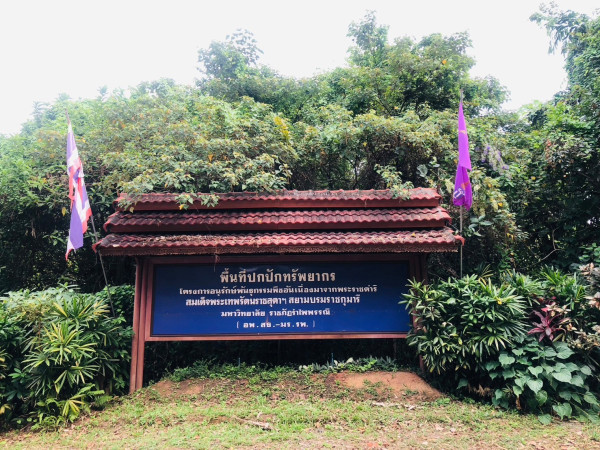 15.3.1 มหาวิทยาลัยมีนโยบายที่จะเป็นการประกันการอนุรักษ์ การฟื้นฟู และการใช้ประโยชน์ที่ยั่งยืนของระบบนิเวศบนบก ซึ่งเกี่ยวข้องกับมหาวิทยาลัย โดยเฉพาะป่าไม้ ภูเขา และพื้นที่แห้ง