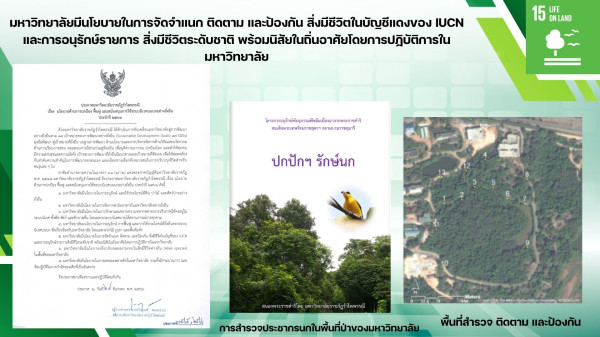 15.3.2 มหาวิทยาลัยมีนโยบายในการจัดจำแนก ติดตาม และป้องกัน สิ่งมีชีวิตในบัญชีแดงของ IUCN และการอนุรักษ์รายการ สิ่งมีชีวิตระดับชาติ พร้อมนิสัยในถิ่นอาศัยโดยการปฏิบัติการในมหาวิทยาลัย